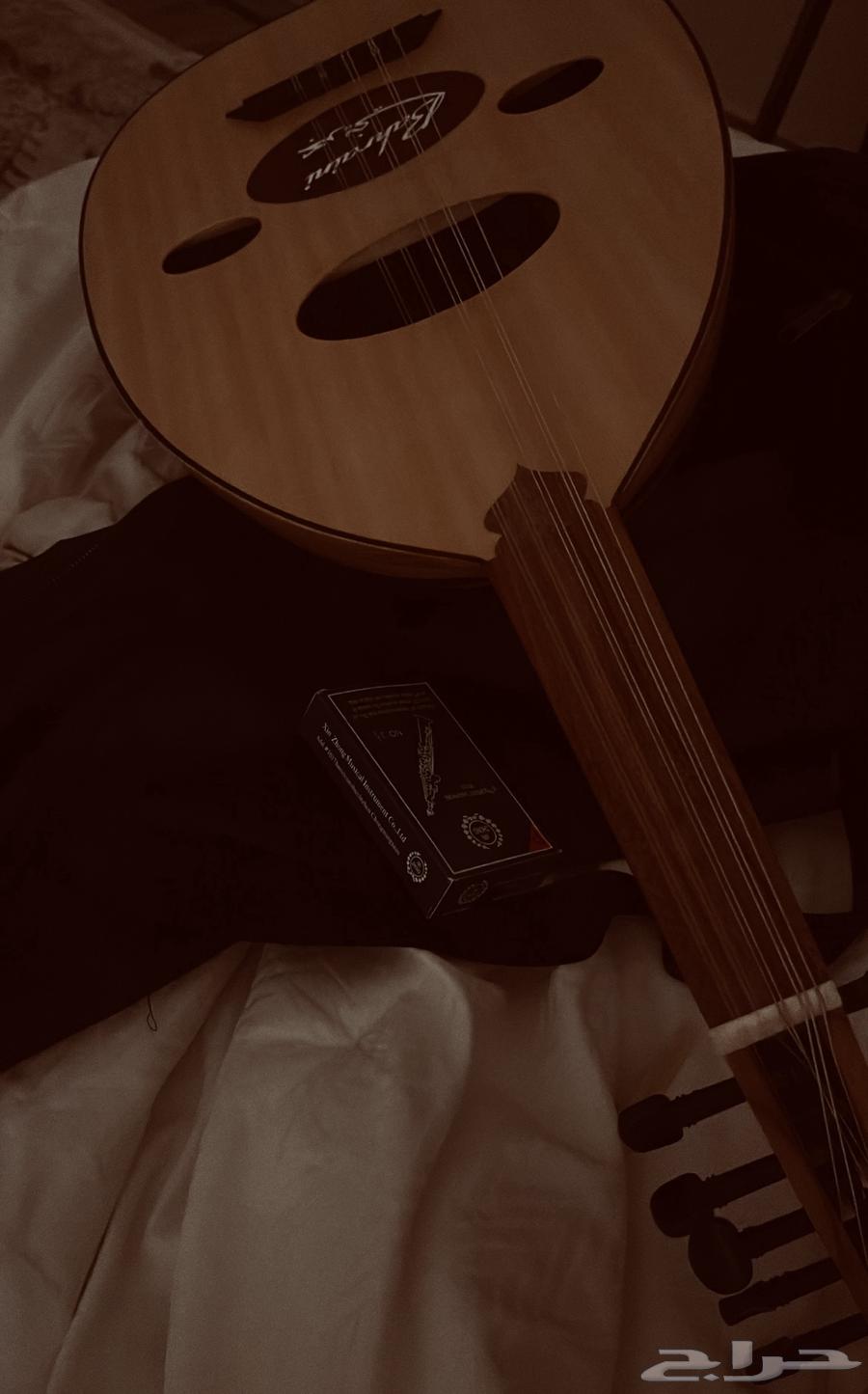 عود بحريني   600 ريال64403696684931110