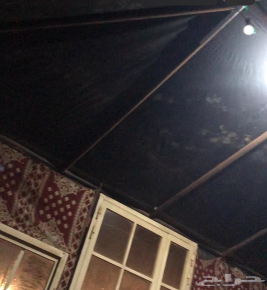 للبيع مجلس يفك ويتم تركيبه غير قابل ل الشيل64392401676674112