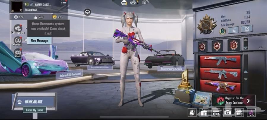 PUBG ACCOUNTS64401731100802112