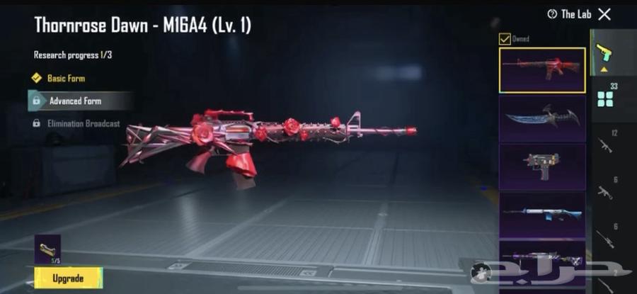 PUBG ACCOUNTS64401731100802113