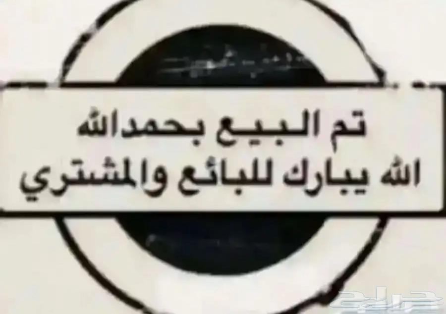 كنيور أناناس هدد64339705588227110