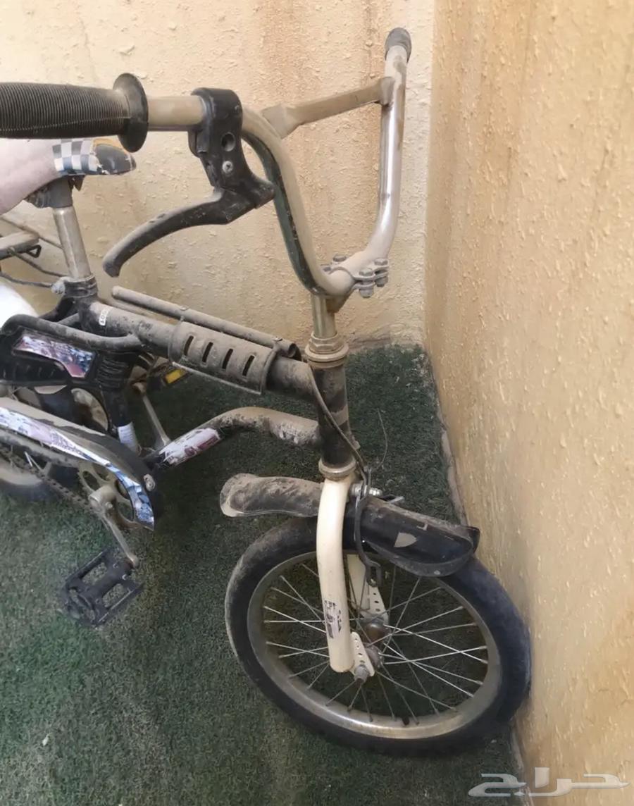 سيكل للبيع64401717118977114