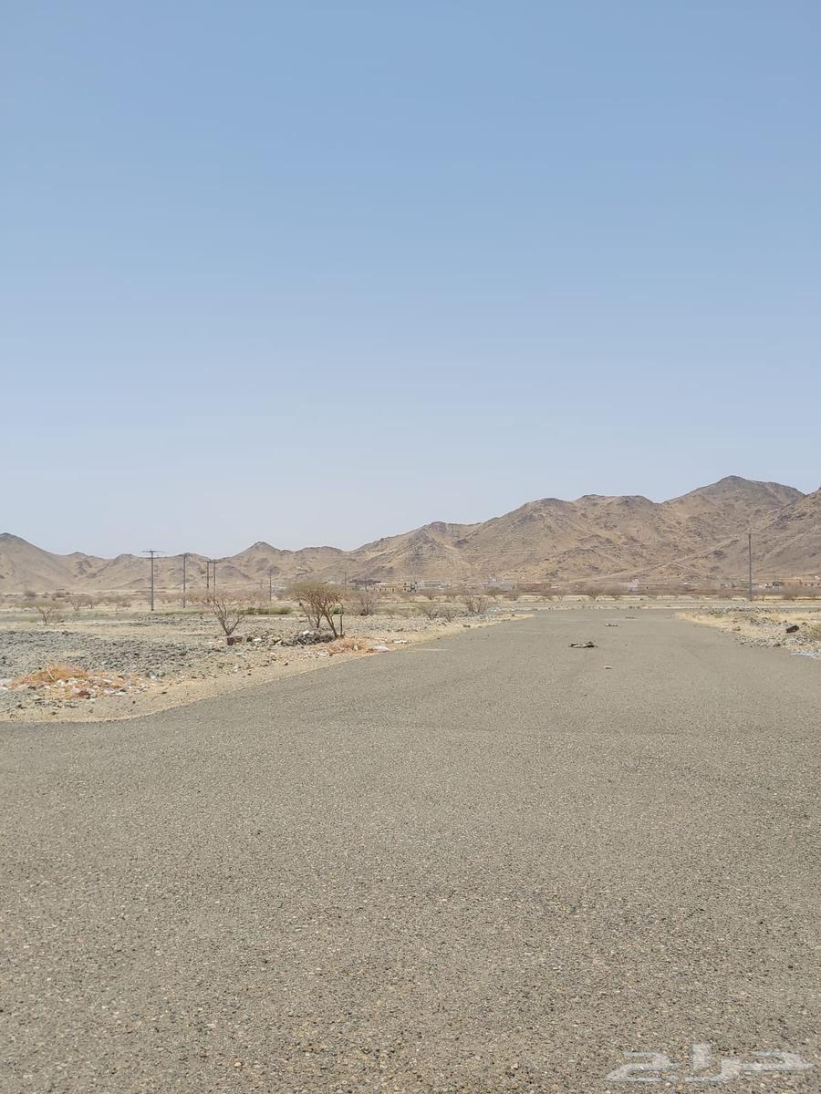 Land for sale in Al-Fajj scheme with legal deed63614099730945112