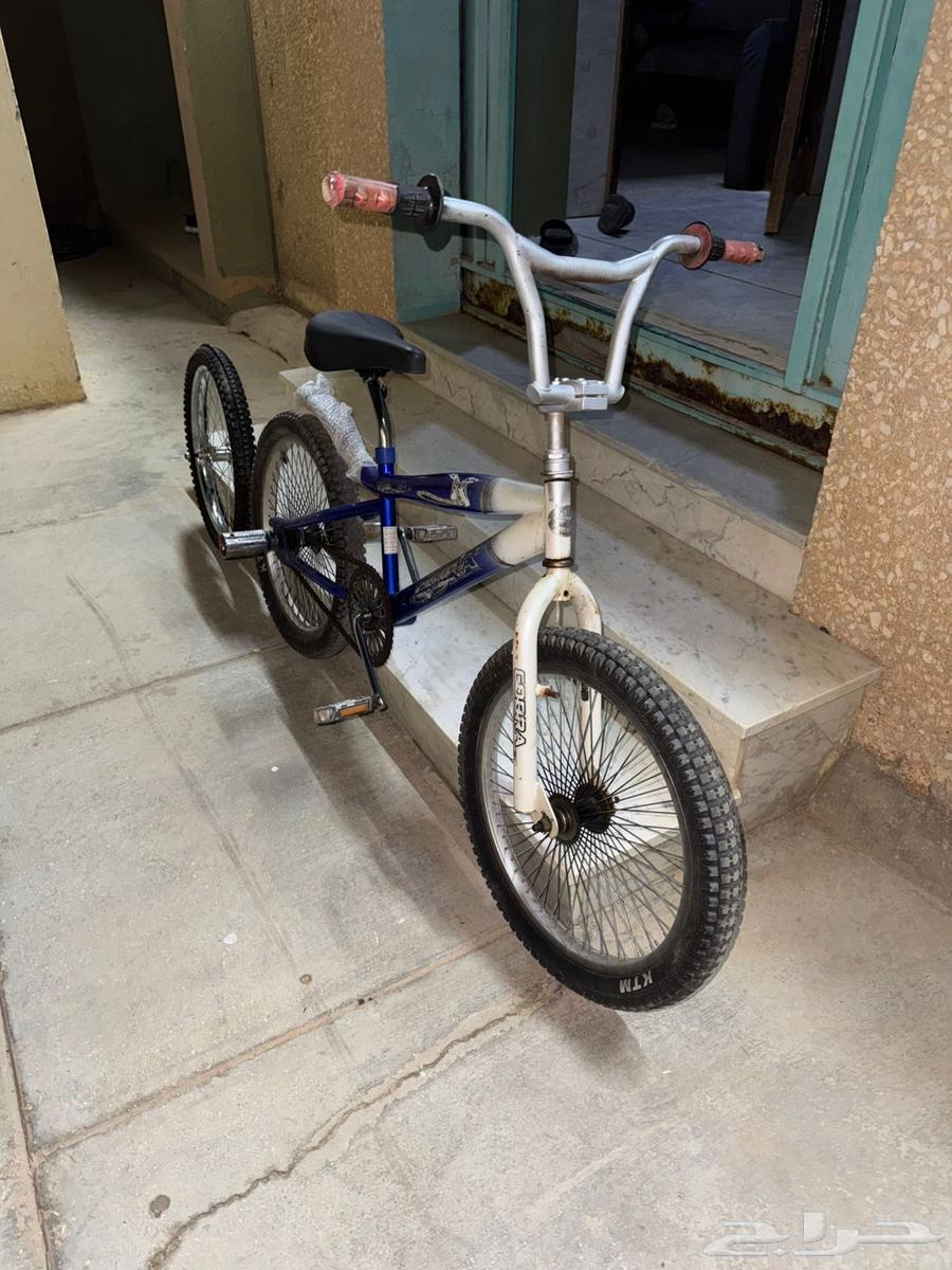 Cobra size 2064404333221123110