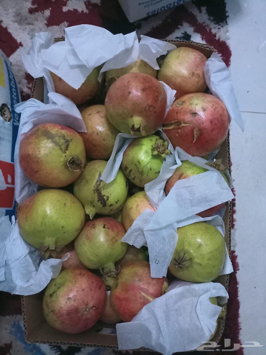 There is premium pomegranate from Khamis Mushait available in Riyadh64404833995009112