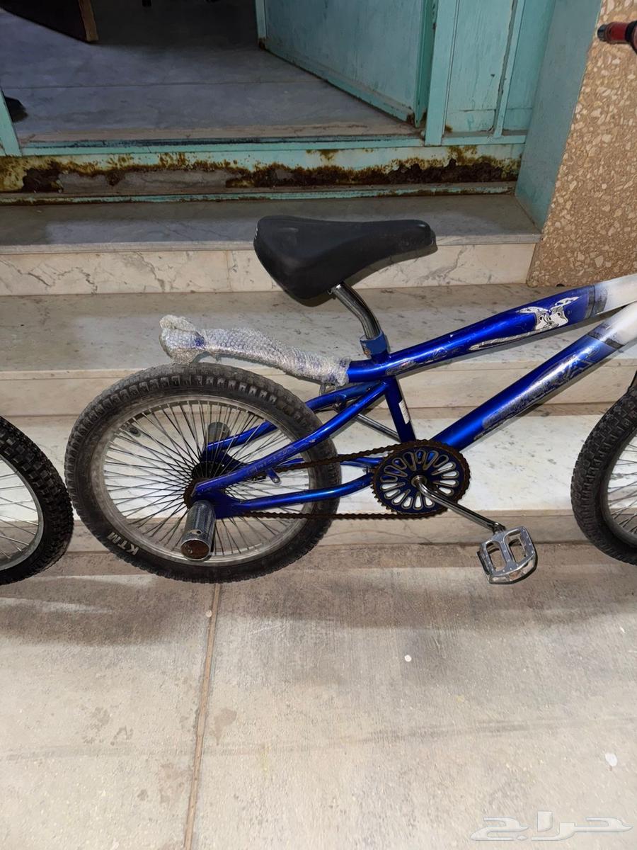 Cobra size 2064404333221123112