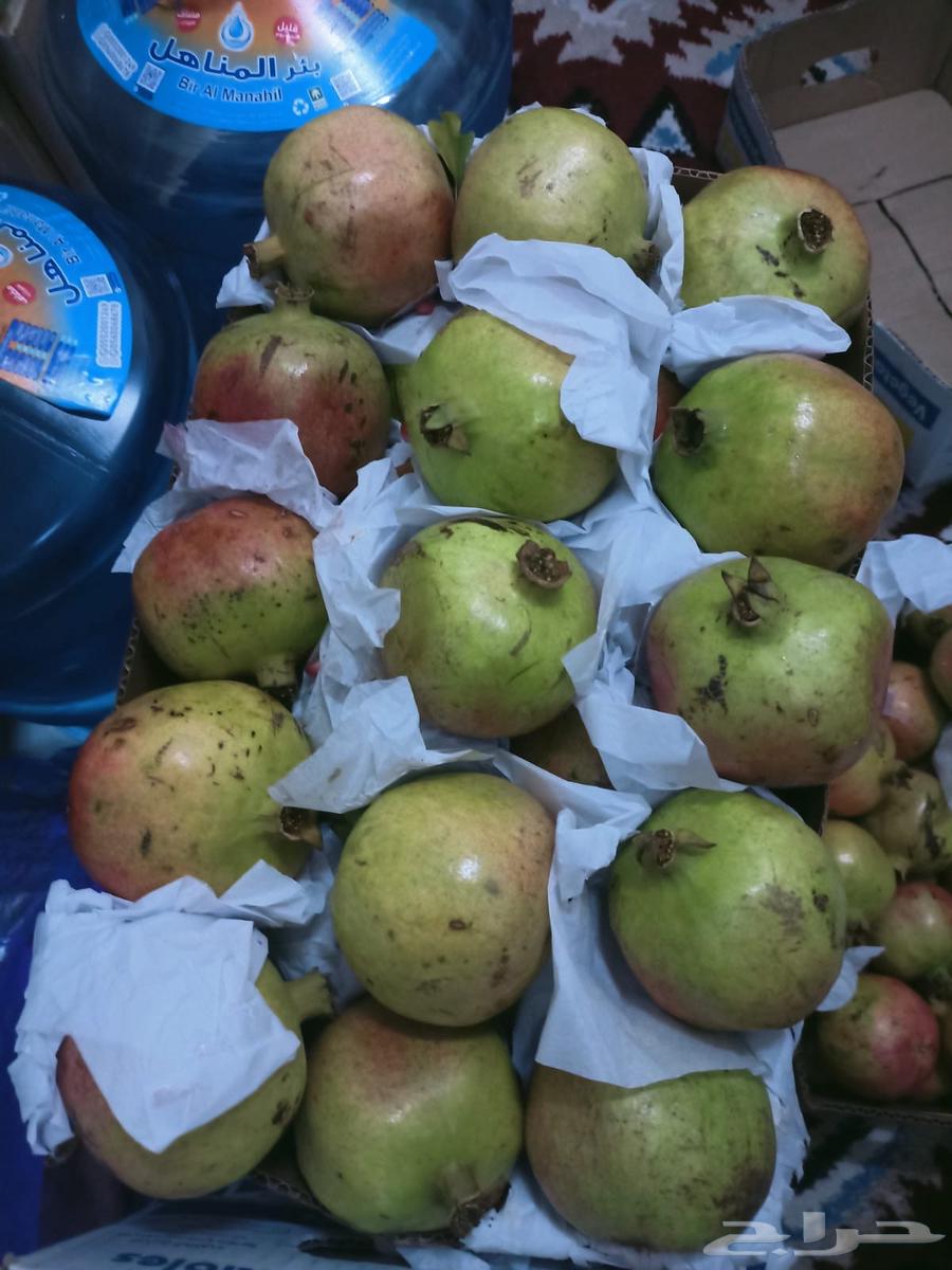 There is premium pomegranate from Khamis Mushait available in Riyadh64404833995009111