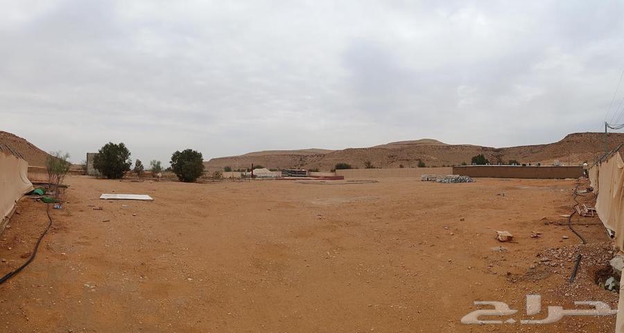 مزرعة طويل المدى63614101849986113
