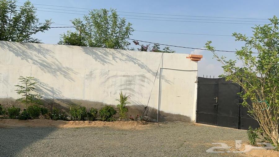 Rest House for Rent64141430981635112