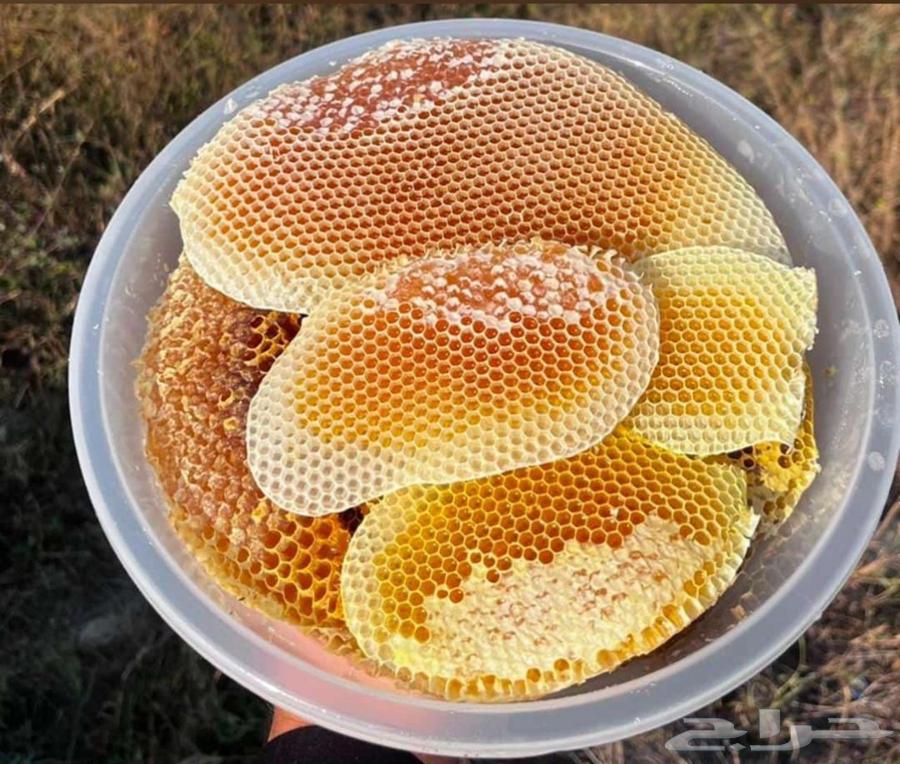 عسل جبلي صافي جديد من منحلي شخصيا64404444875393112