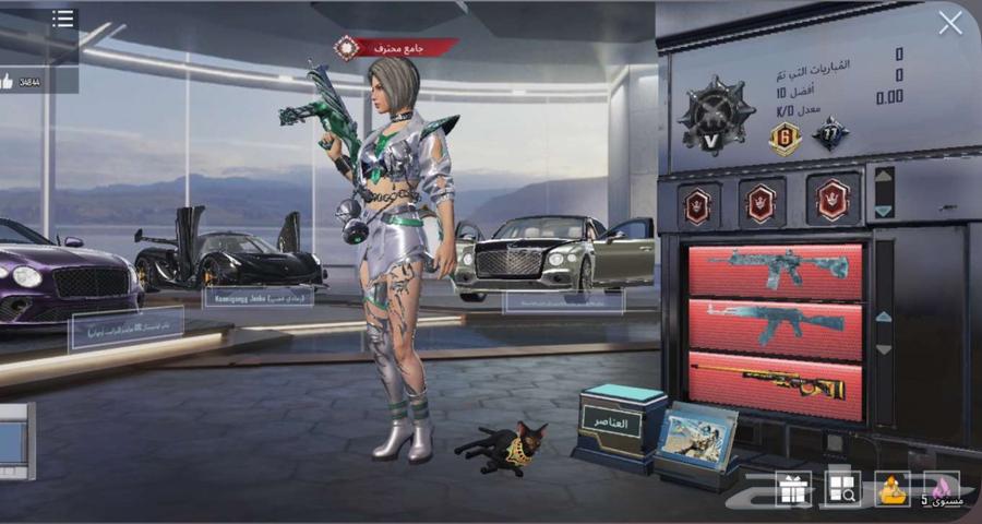 حساب ببجي للبيع64402927485826113