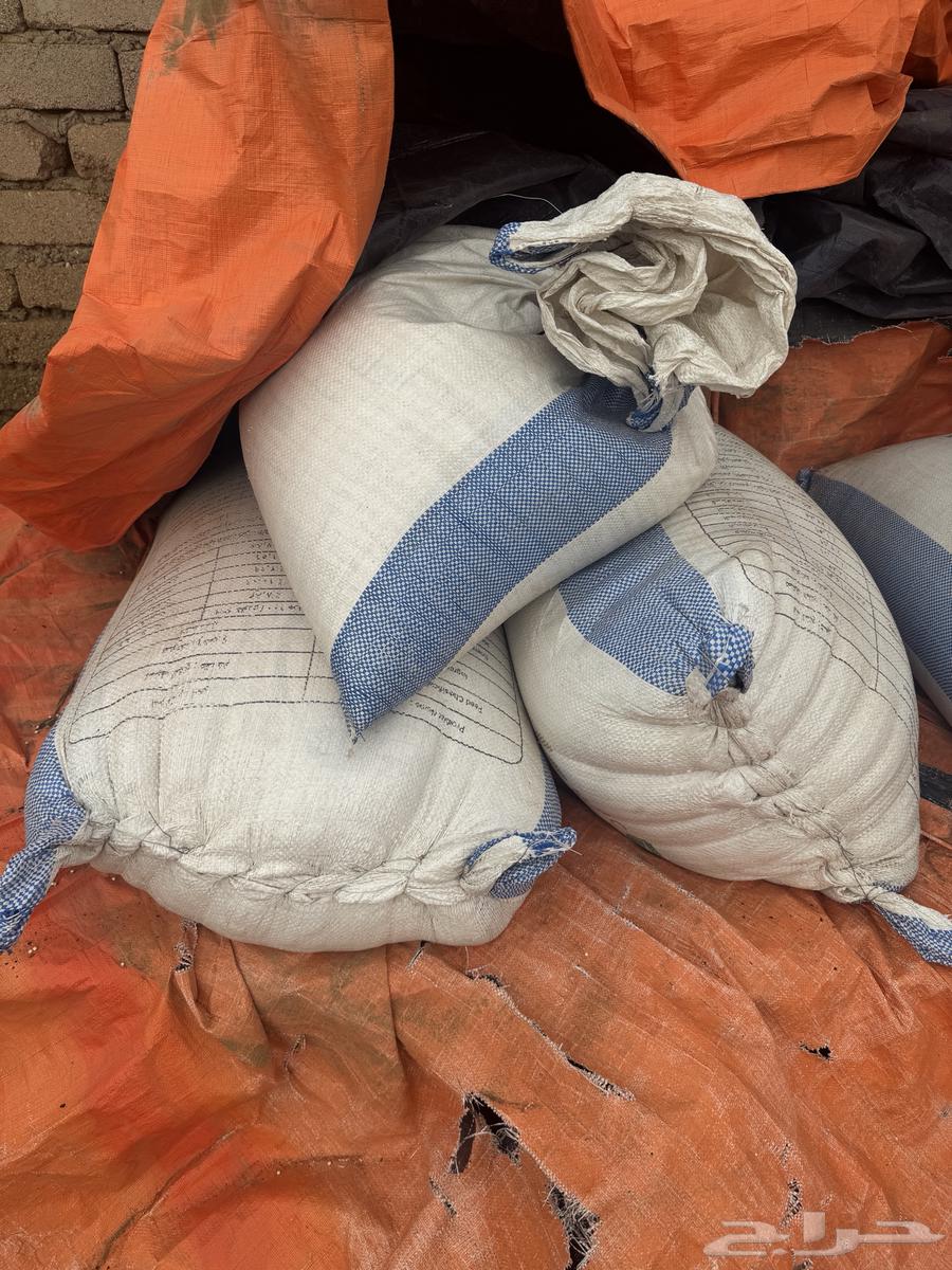 حب ذره ودخن64403202306691110