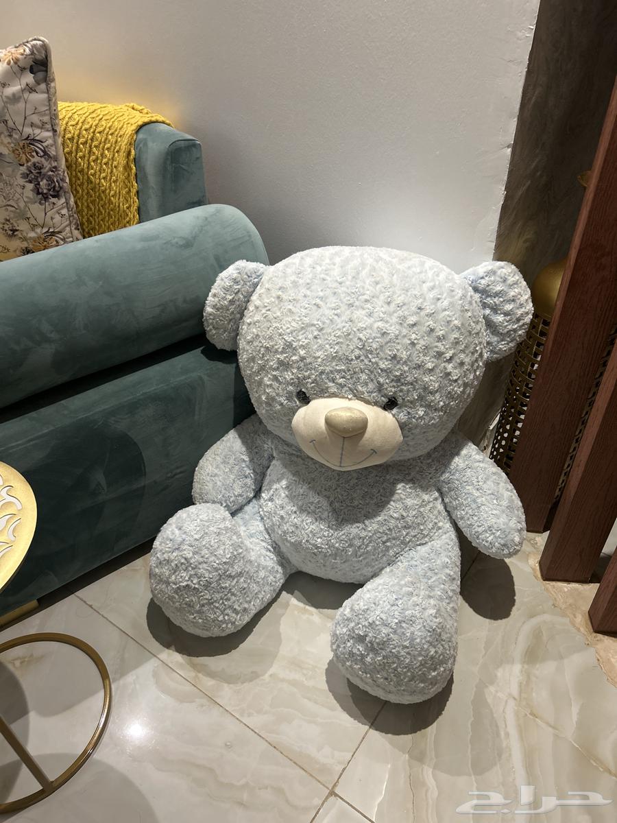 دب للبيع64403986399361110