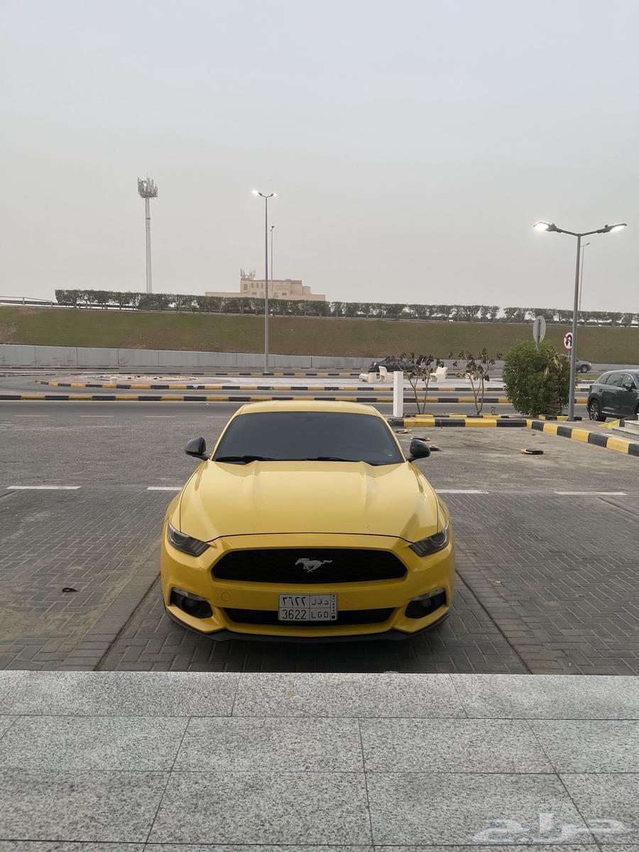 Ford Mustang 201663618267684611112