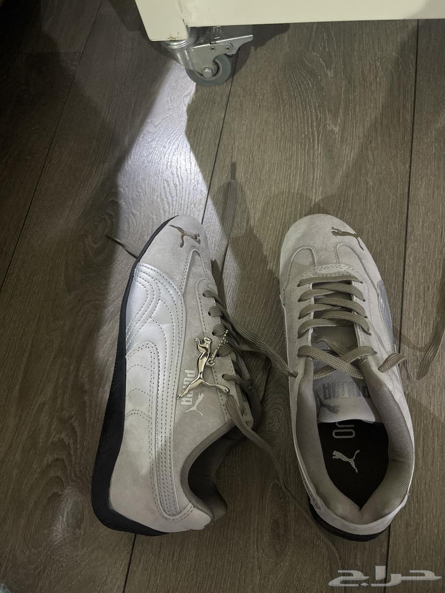 جزمة بوما سبيد كات64402299781505111