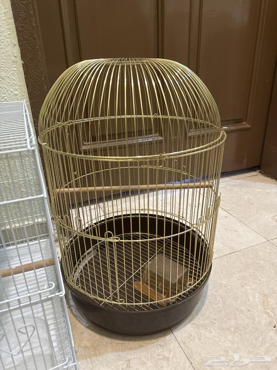 اقفاص 4 للبيع بمبلغ 80ريال64401383326082112