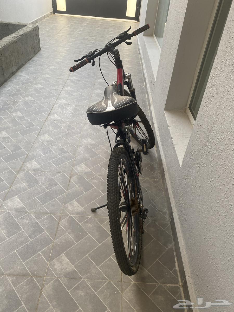 سيكل (دراجة هوائية)64401688730882111