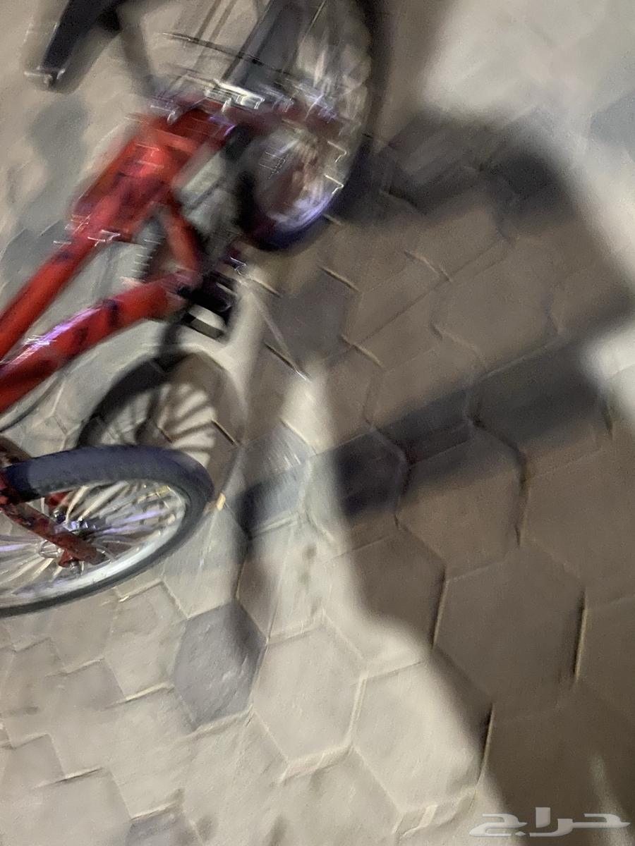 سيكل رامبو مقاس 20 مع الجنوط64402161633411114