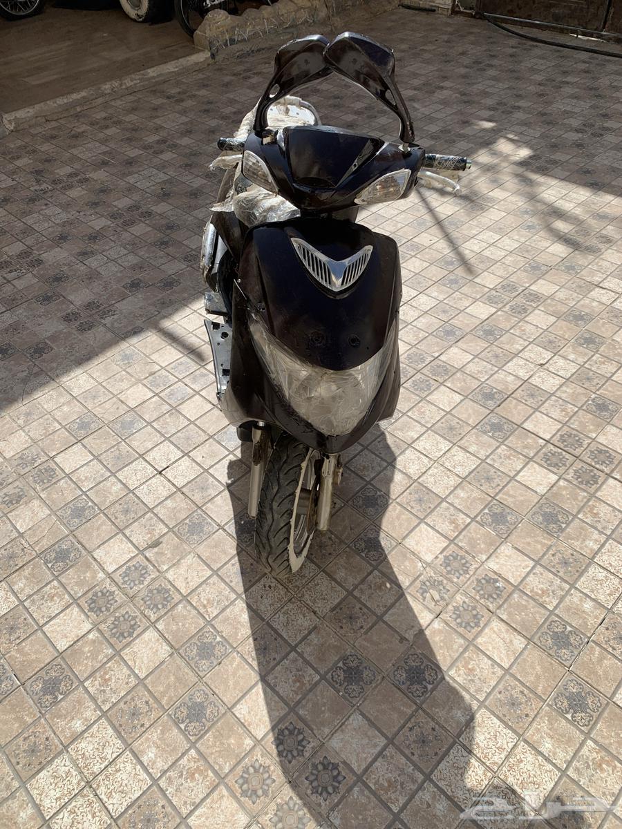 دباب64553992061699113