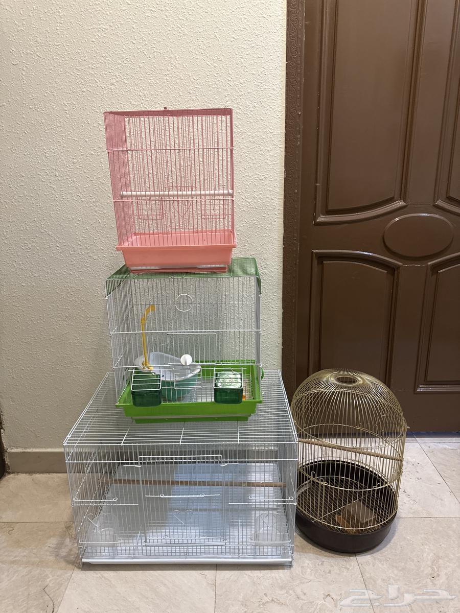 اقفاص 4 للبيع بمبلغ 80ريال64401383326082110