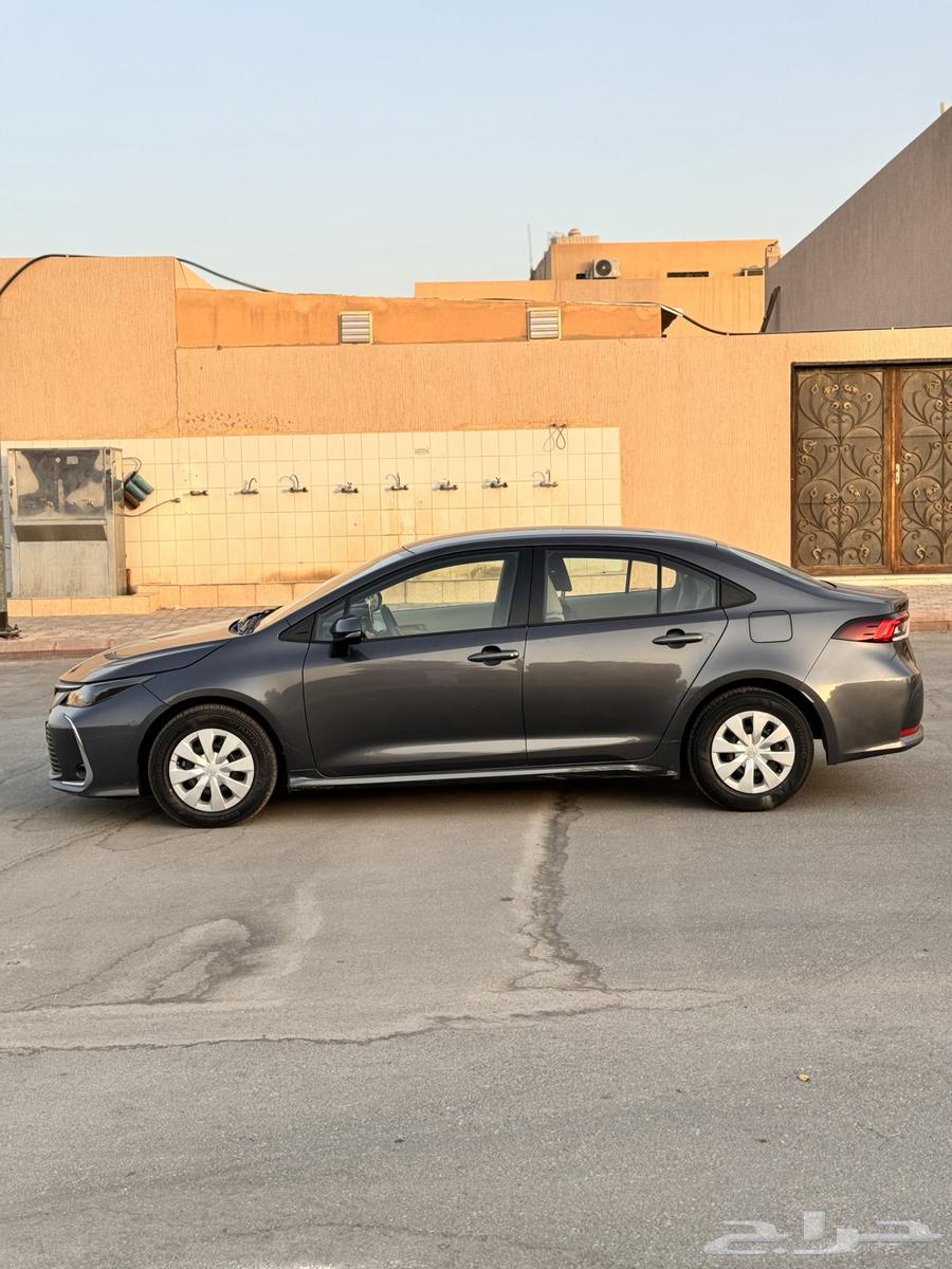 كورلا 2022 ( بدي وكالة )63618261585409114