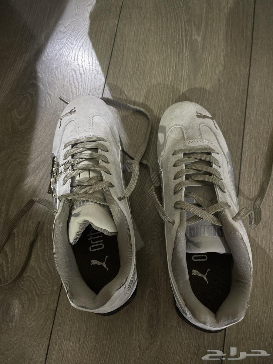 جزمة بوما سبيد كات64402299781505110