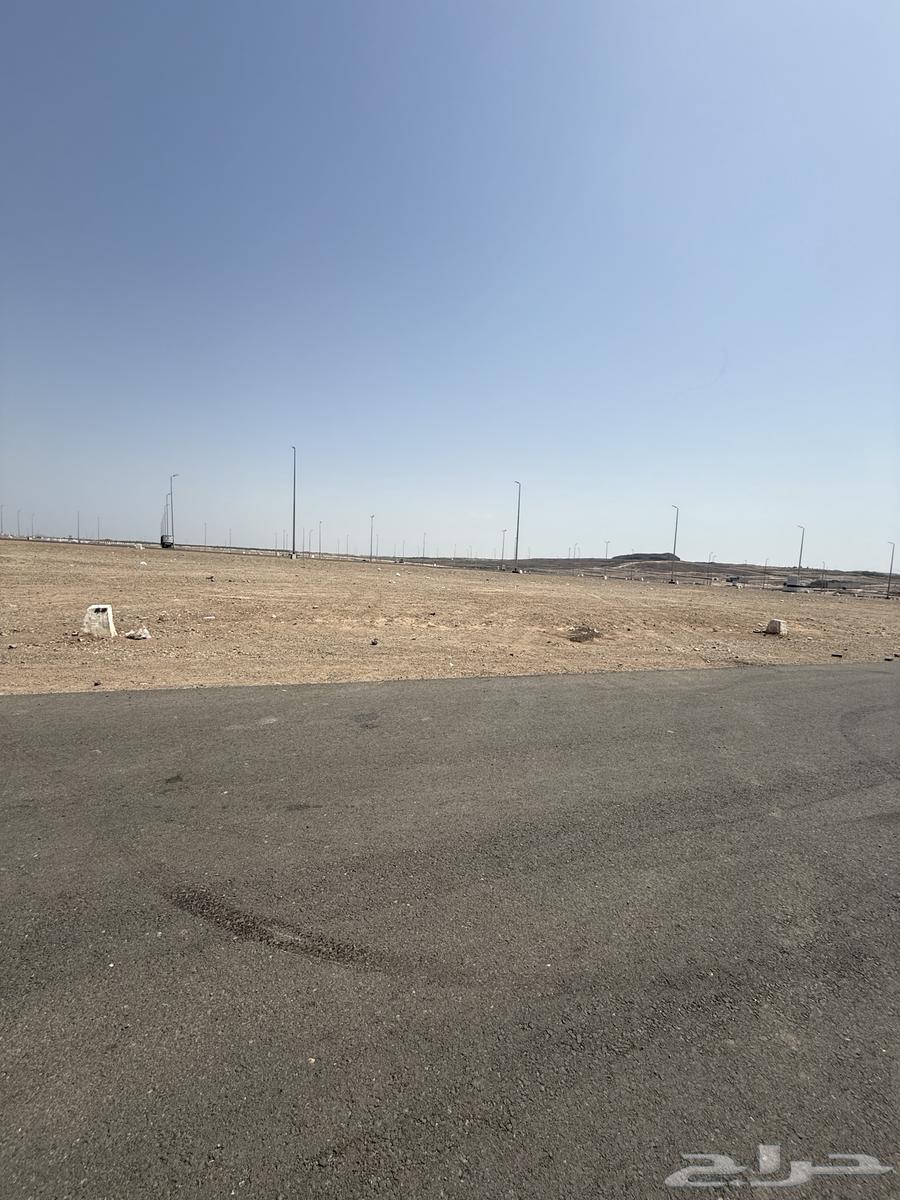 Commercial land for sale in Atalat Al-Ranona plan M500, 64m northern street63614100924035113