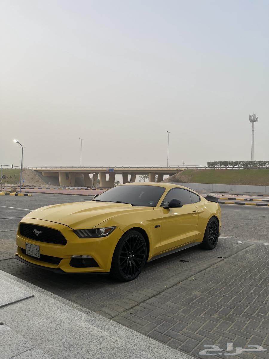 Ford Mustang 201663618267684611114