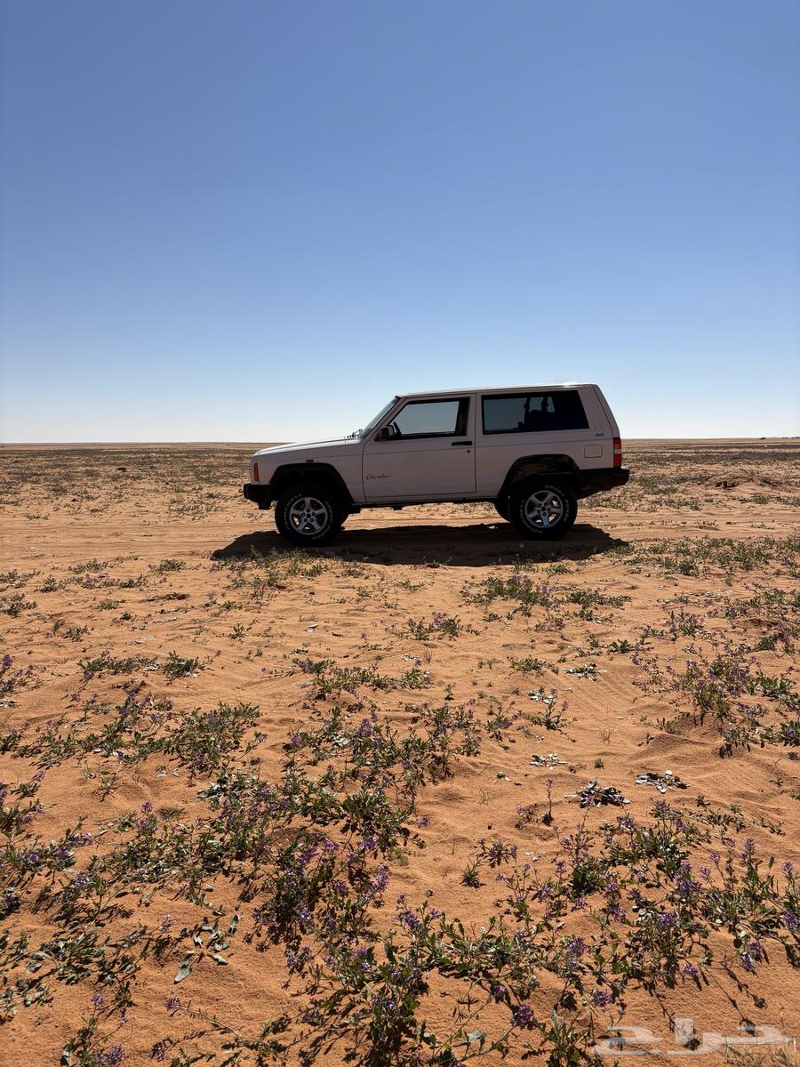 1999 Jeep Cherokee Model63618253121411114