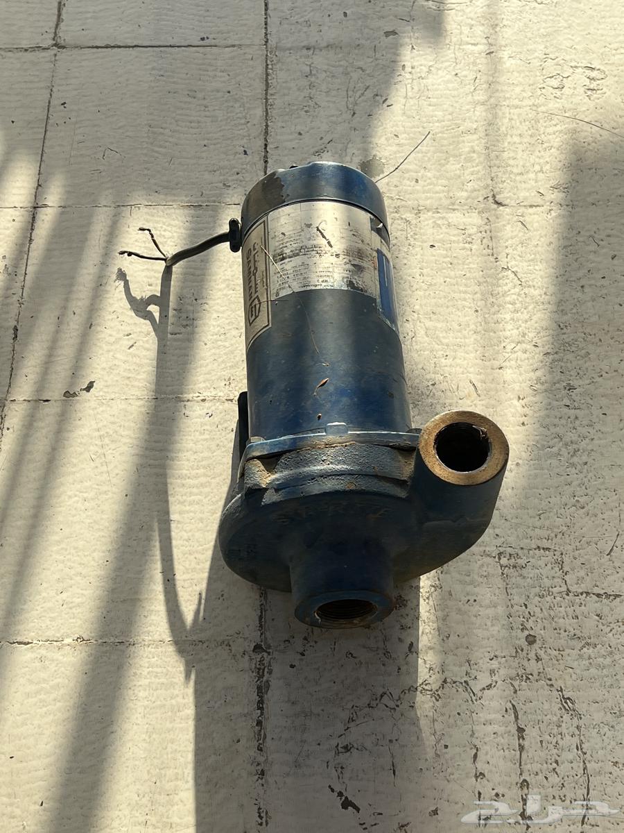 متطور 2 حصان للبيع سمنان أمريكي64402092387843112