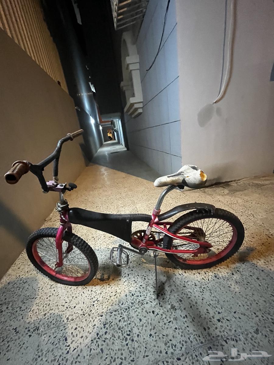 سيكل كوبرا مقاس 20للبيع64403025812354113