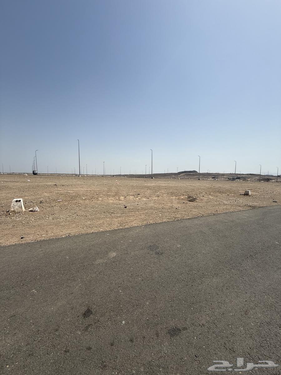 Commercial land for sale in Atalat Al-Ranona plan M500, 64m northern street63614100924035114