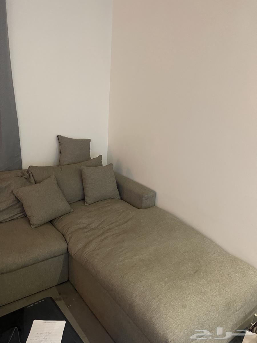 كنب حرف L ال64404889973123110