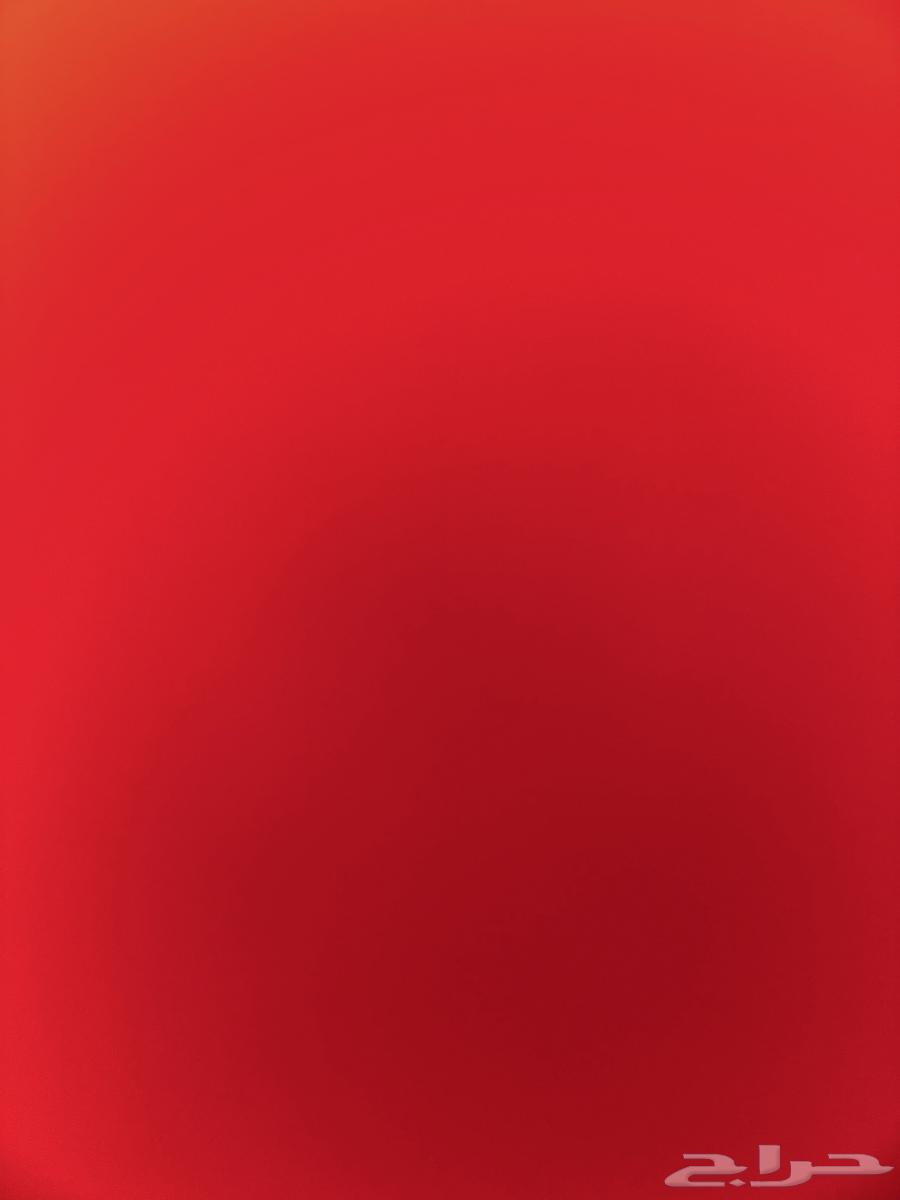 Two cartons of dry bread for a sheep that has been in the yard for a year64402761916931110