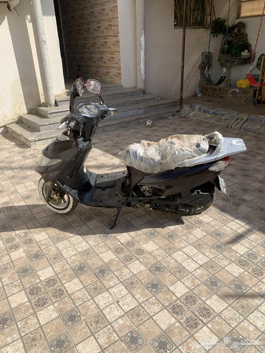 دباب64553992061699112