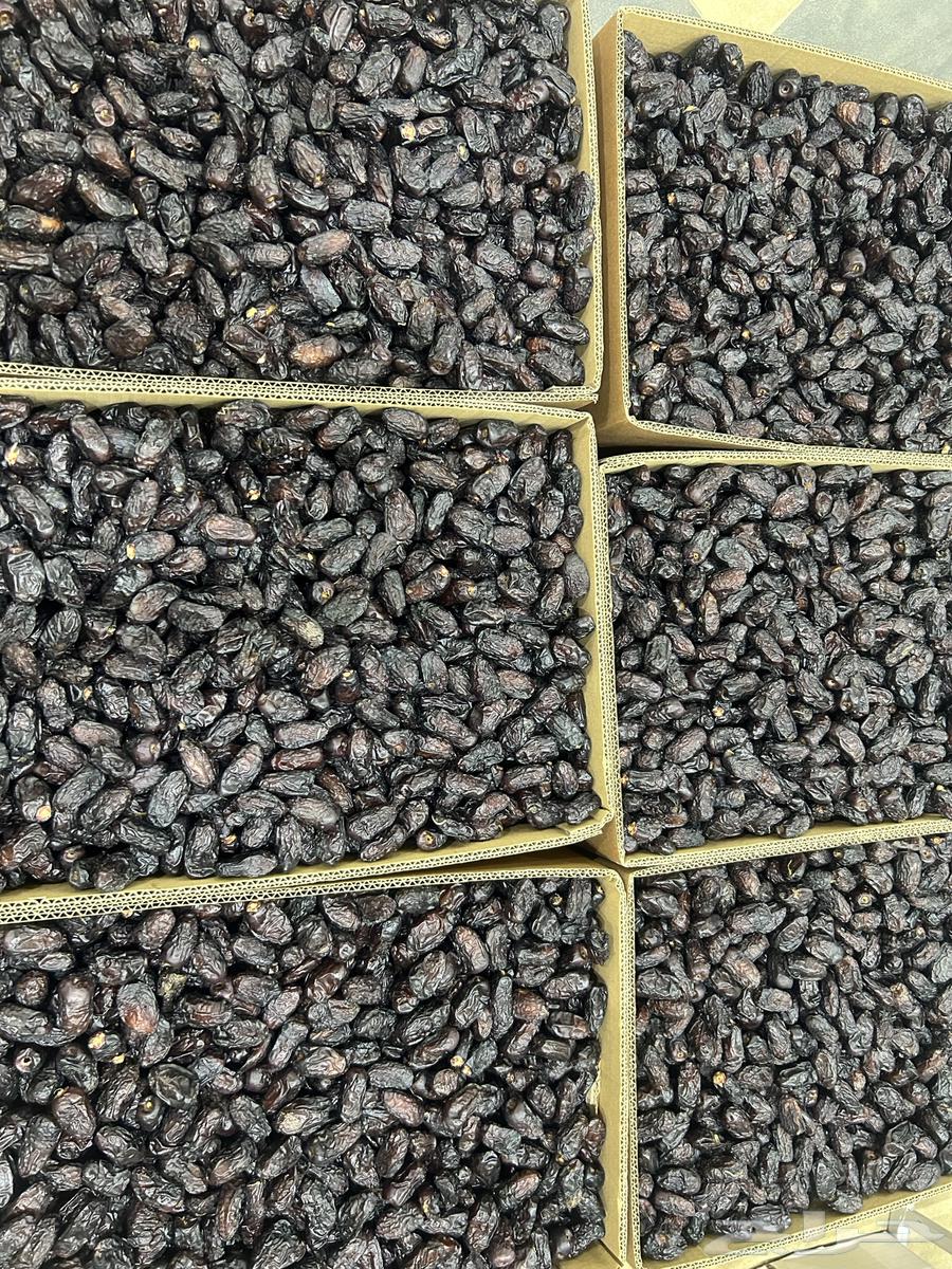 Safawi Dates64403822988930111