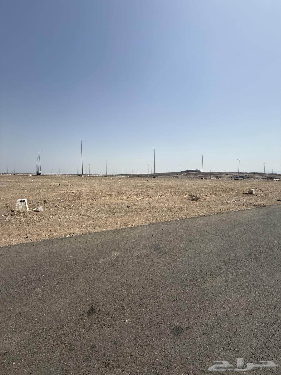 Commercial land for sale in Atalat Al-Ranona plan M500, 64m northern street63614100924035111