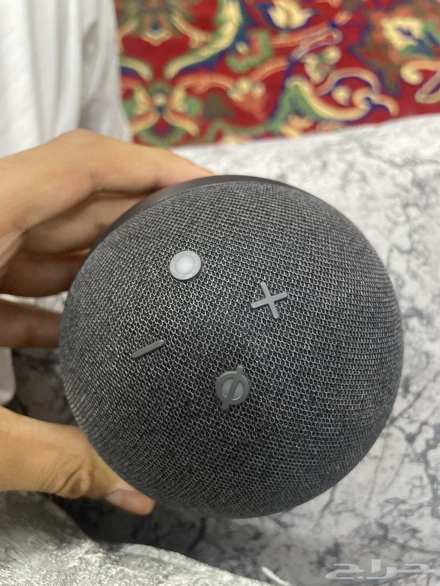 أليكسا للبيع64401731140866110