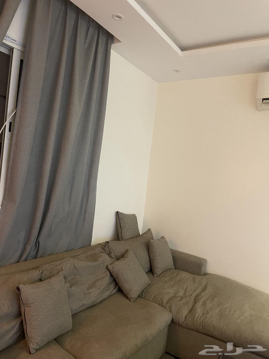 كنب حرف L ال64404889973123112