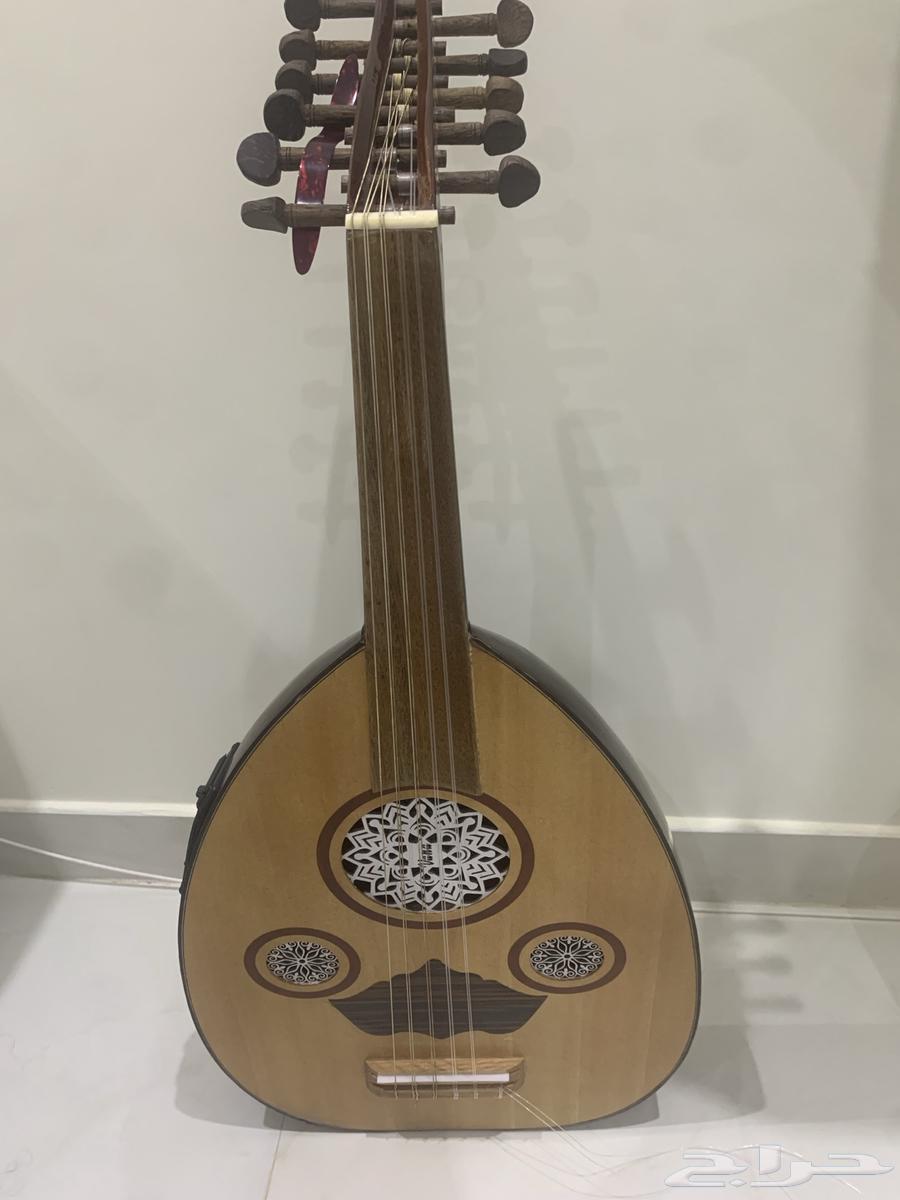 عود كهربائي للبيع64402443809923114