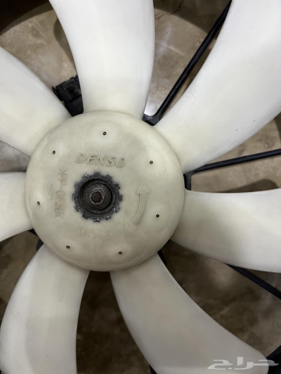 Kamry fans64559280944643112