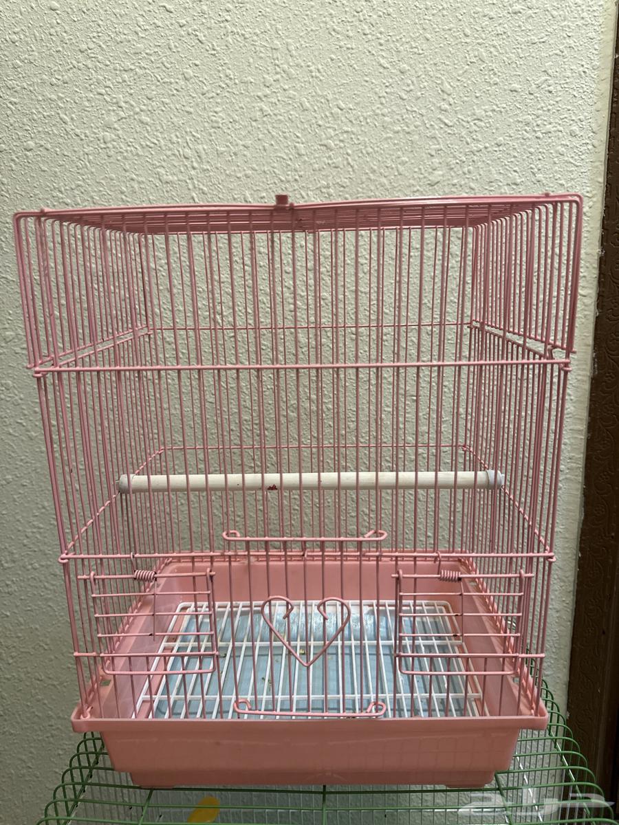 اقفاص 4 للبيع بمبلغ 80ريال64401383326082111