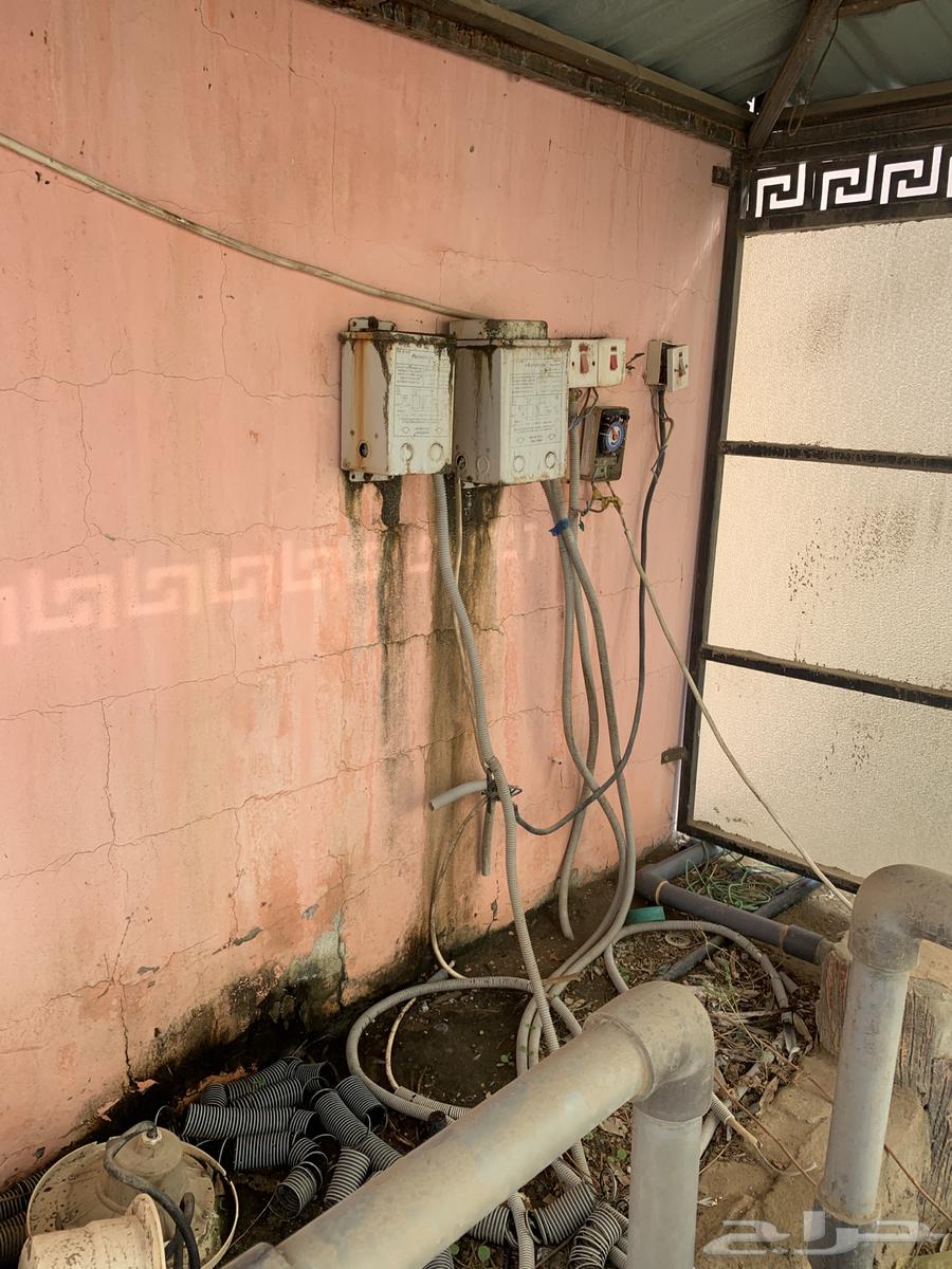 Selling a 4x8 pool with filters64402161709826113