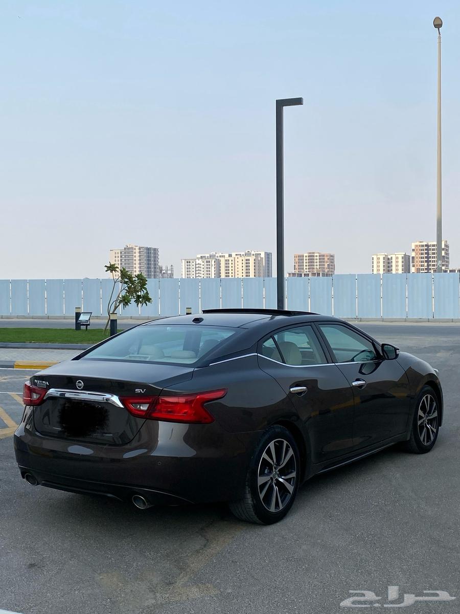 Nissan Maxima 2016 Model63618268298497111