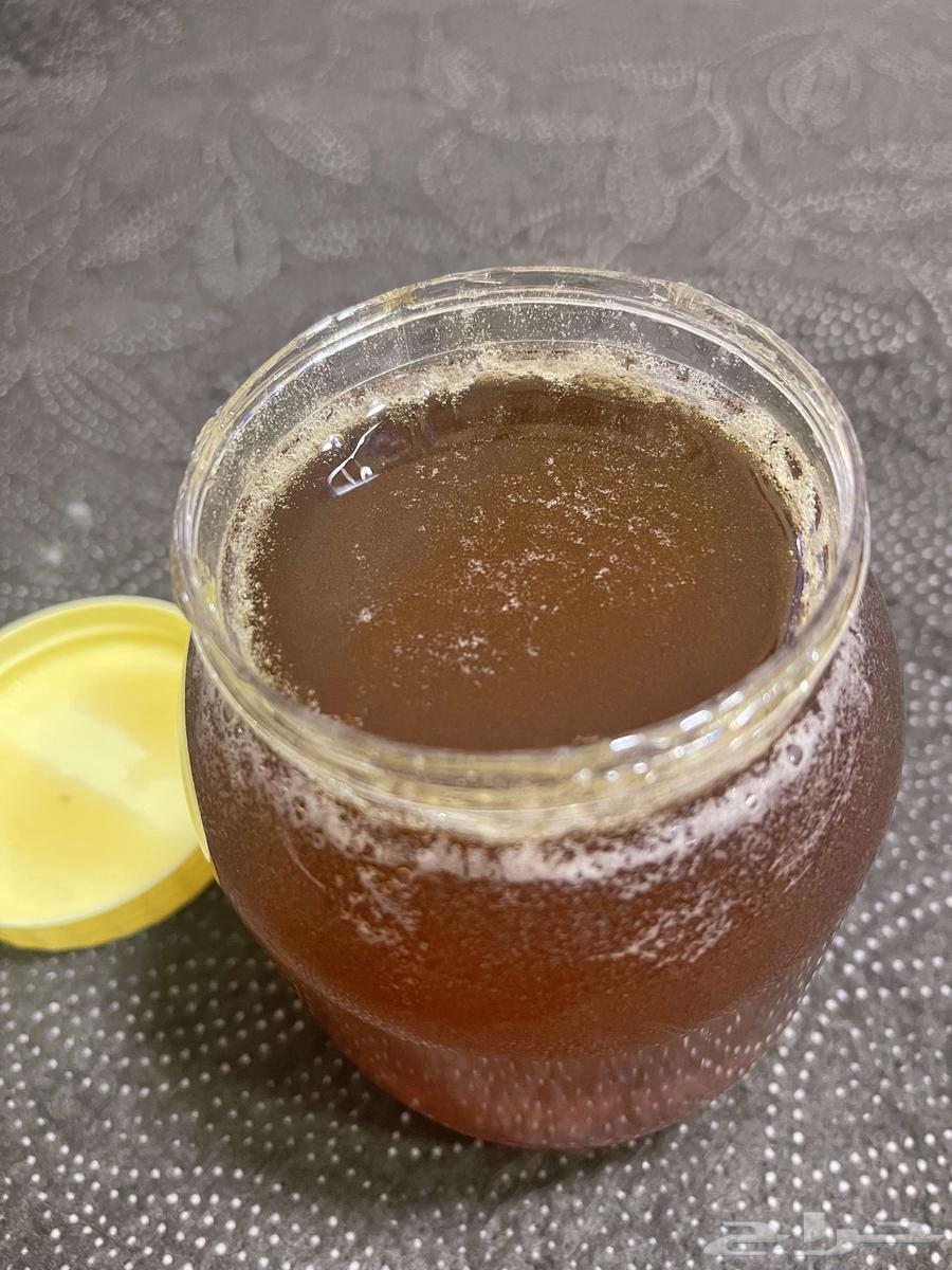 Mountain Sidr Honey from the Mountains of Fifi, Fresh and Limited Quantity64405956894593111