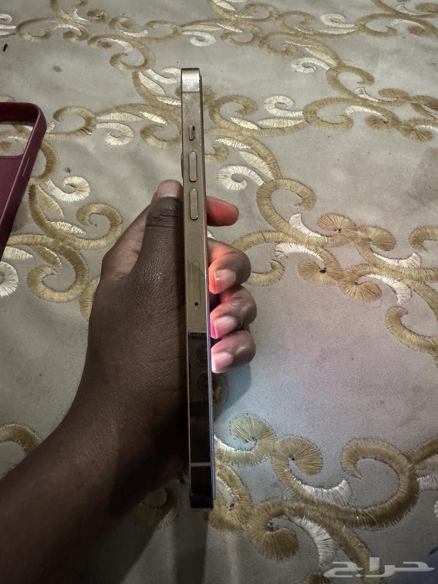 ايفون 12 برو ماكس64403839113090111