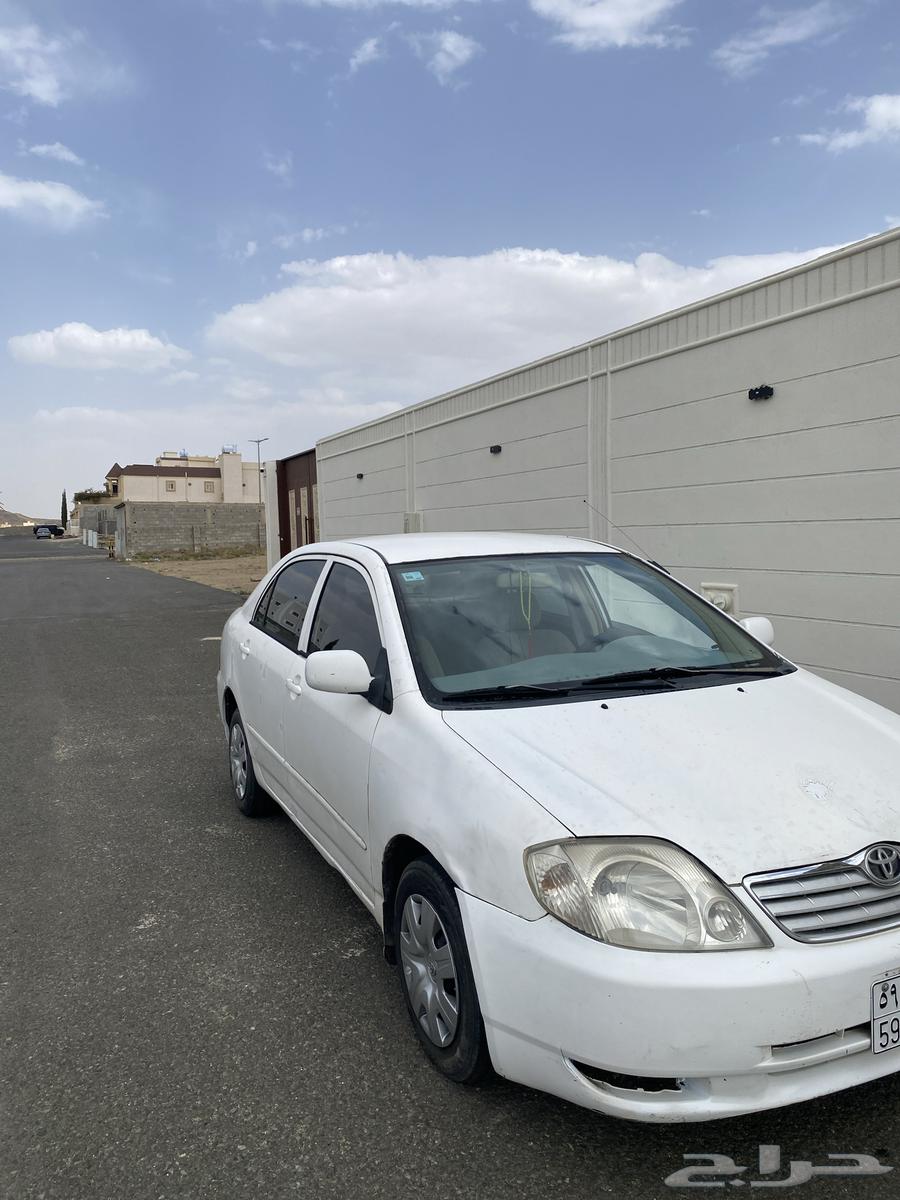 كورولا للبيع 2001 نظيف63618268231171112
