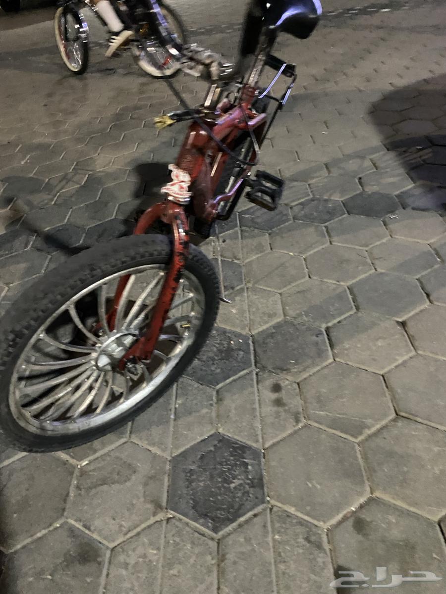 سيكل رامبو مقاس 20 مع الجنوط64402161633411110