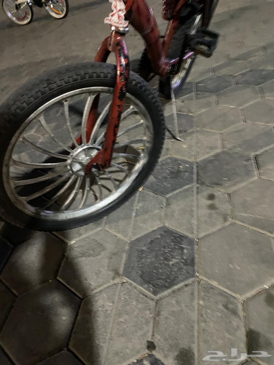 سيكل رامبو مقاس 20 مع الجنوط64402161633411111