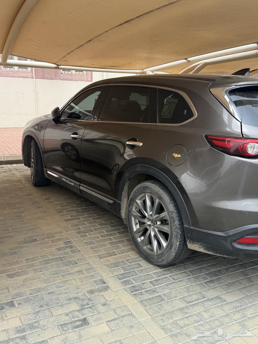 cx-9 اللون بني64497951965827112